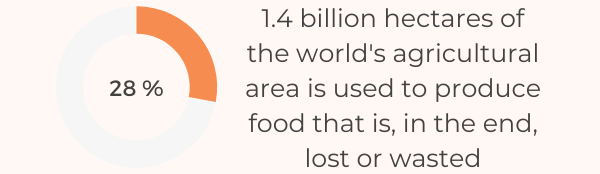 The Ultimate List Of 81 Food Waste Statistics For 2022 - World's Agricultural Land