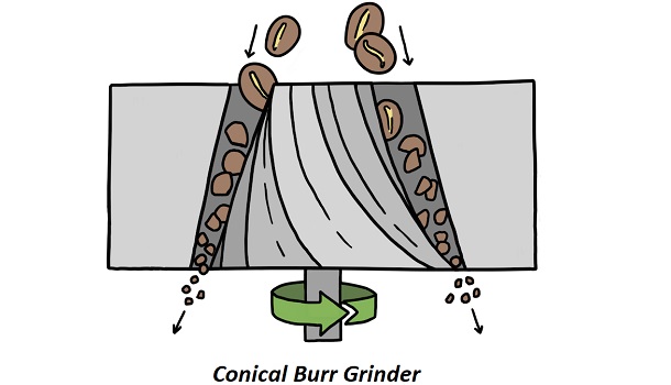 Conical Burr Grinder