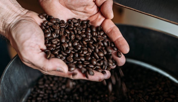 Arabica Coffee Beans