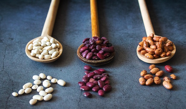 diferent beans types
