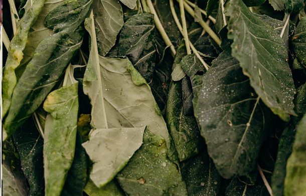 dirty rutabaga leaves