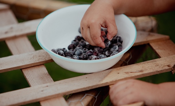 frozen blueberries