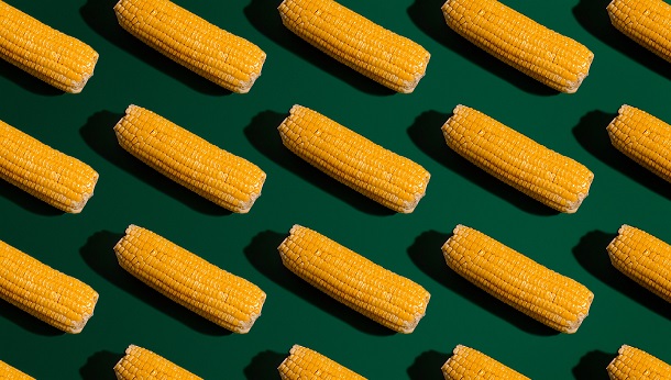 many corns