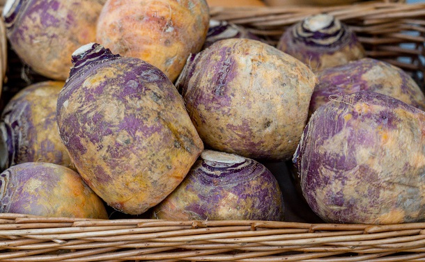 rutabaga