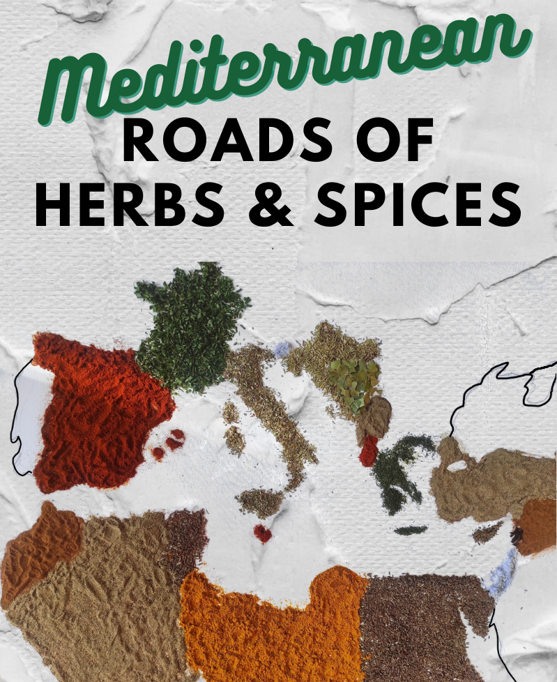 Mediterranean Herbs & Spices Infographic