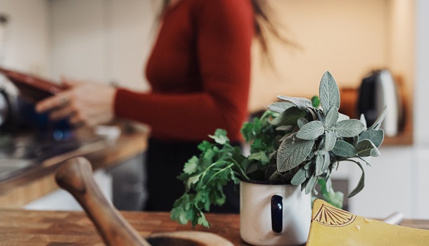 Cooking With Herbs