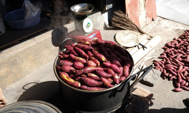 cooking sweet potato