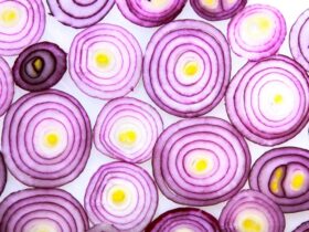 craving onions
