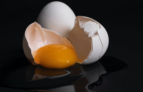 yolk and white in egg